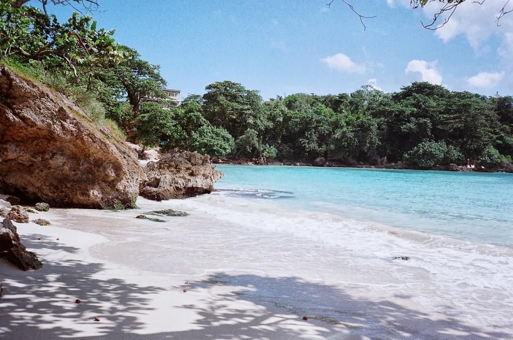 Boston Beach Guesthouse Port Antonio Zewnętrze zdjęcie