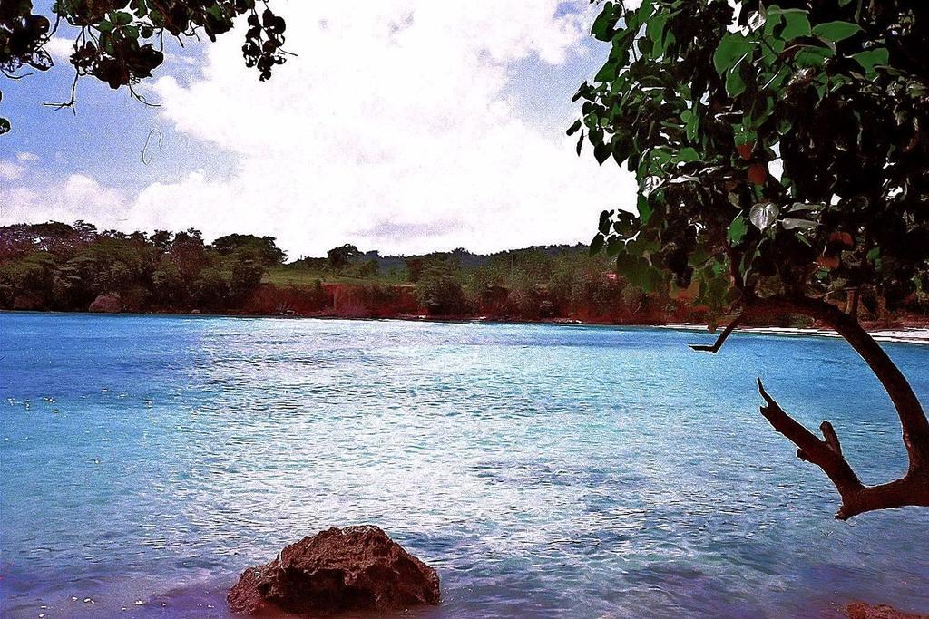 Boston Beach Guesthouse Port Antonio Zewnętrze zdjęcie