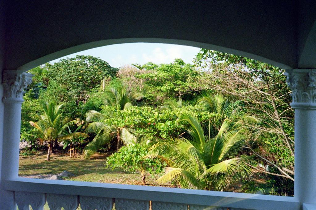 Boston Beach Guesthouse Port Antonio Zewnętrze zdjęcie