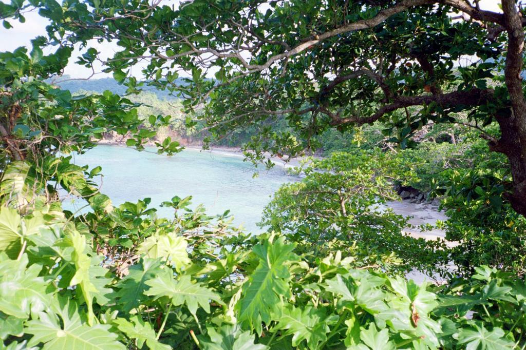 Boston Beach Guesthouse Port Antonio Zewnętrze zdjęcie