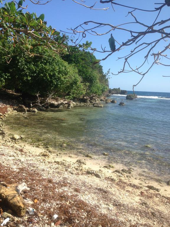 Boston Beach Guesthouse Port Antonio Zewnętrze zdjęcie